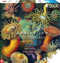 1. Imagination: Puzzle Ernst Haeckel: Sea Anemones Stworzenia Morskie (1000 elementów)